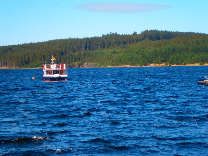Ferry we might have used...