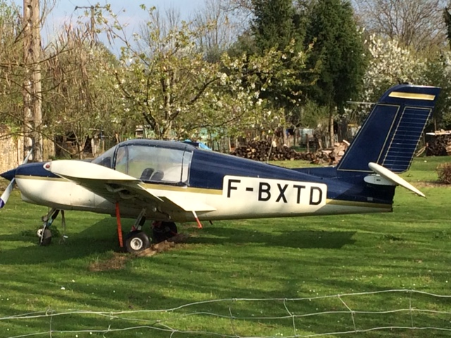 A Robin in a back garden - Andelange