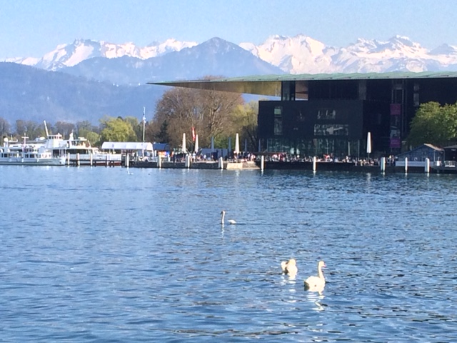 Three swans and the concert hall - Luzern