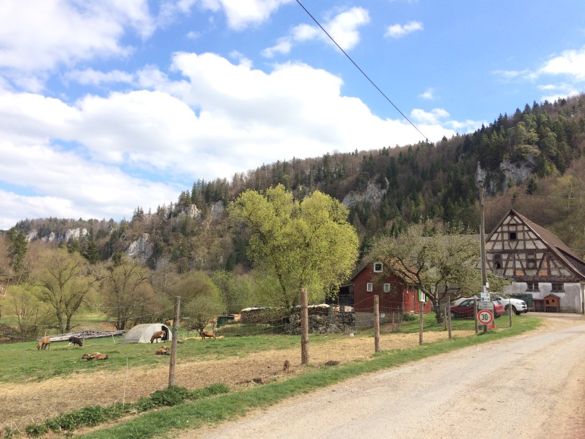 Biergarten in the Donau valley - with goats
