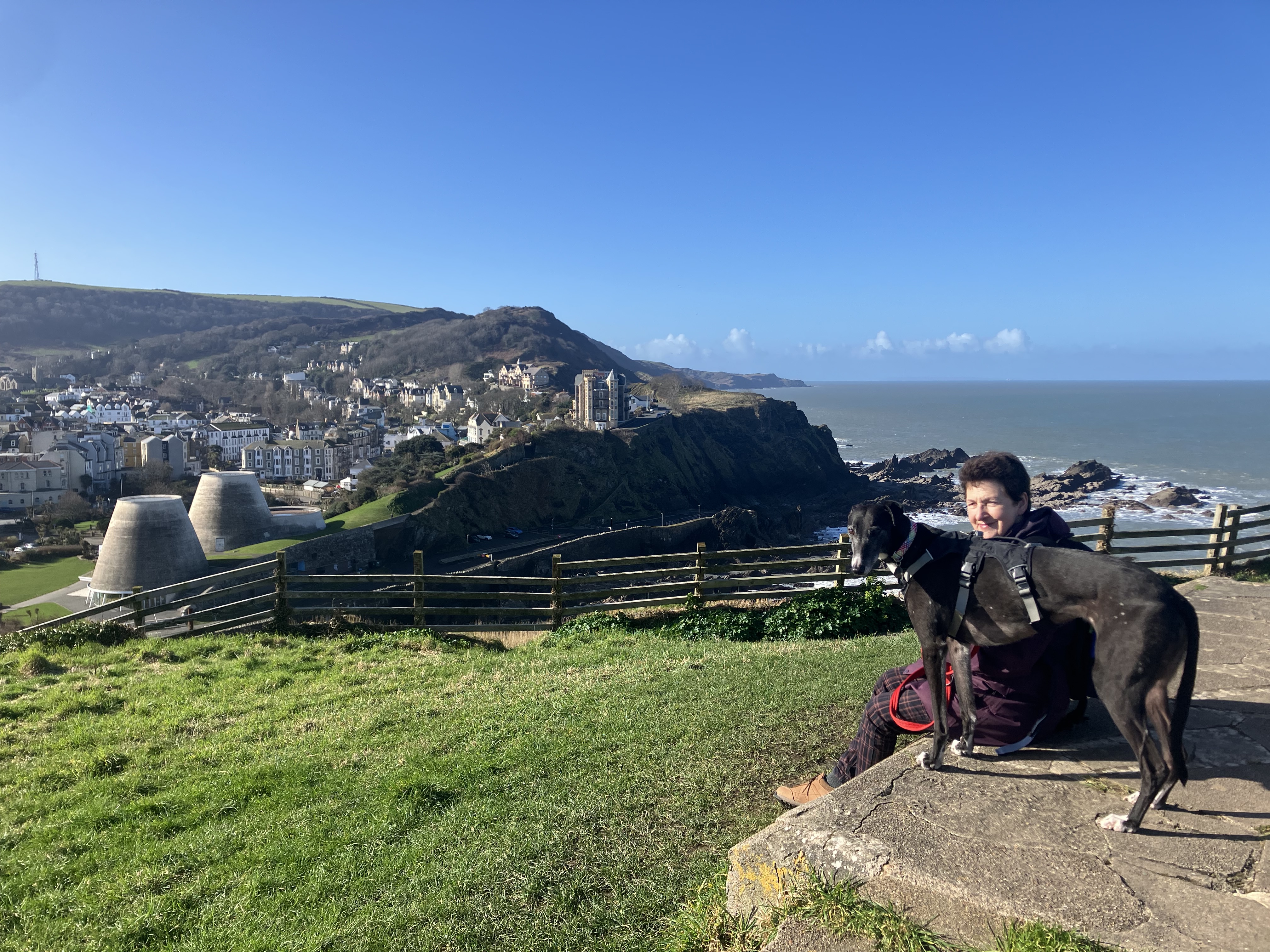 Toastie in the Ifracombe area - with handlers