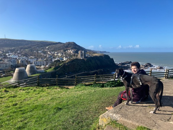 Toastie in the Ifracombe area - with handlers